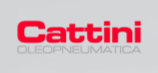 Cattini Cattini